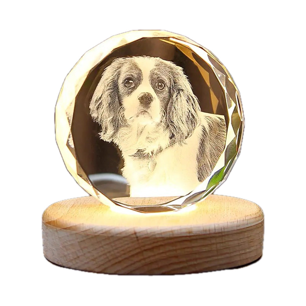 Personalized 3D Laser-Engraved Pet Photo Memorial Crystal